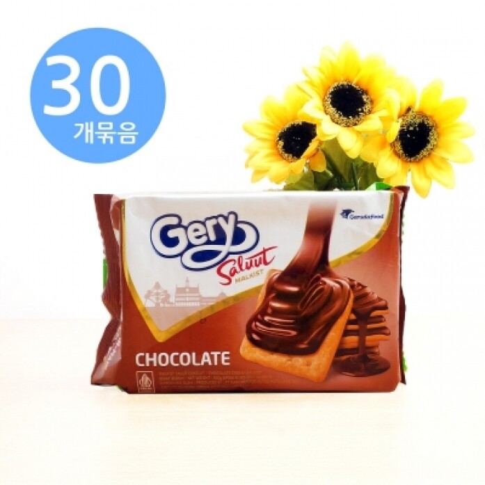 게리 크래커 초콜릿 100g x30개